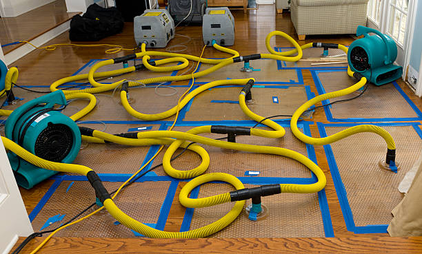 Professional Structural Drying And Dehumidification technician working in Ventura, CA
